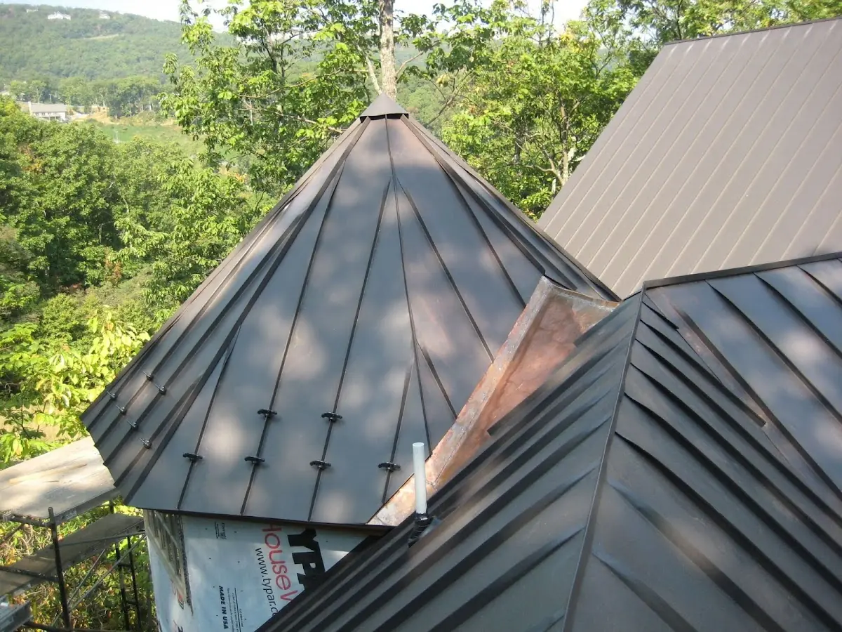 Professional Gutter Cleaning by Craftsman Roofing in Lake Balboa